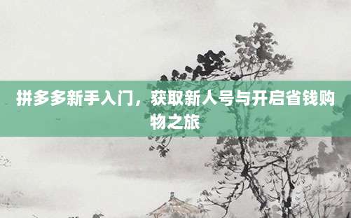 拼多多新手入门,获取新人号与开启省钱购物之旅