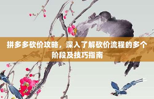 拼多多砍价攻略,深入了解砍价流程的多个阶段及技巧指南