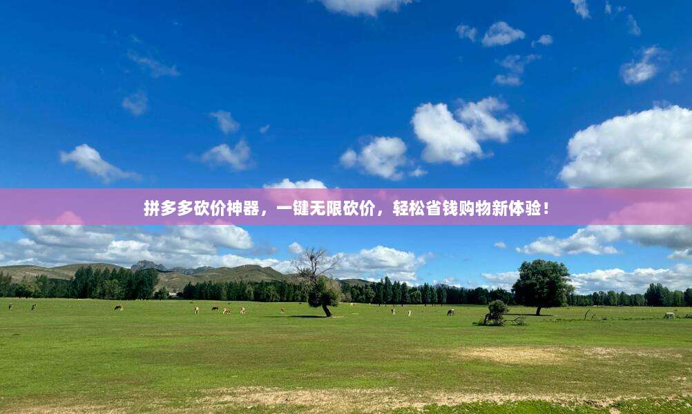 拼多多砍价神器,一键无限砍价,轻松省钱购物新体验!