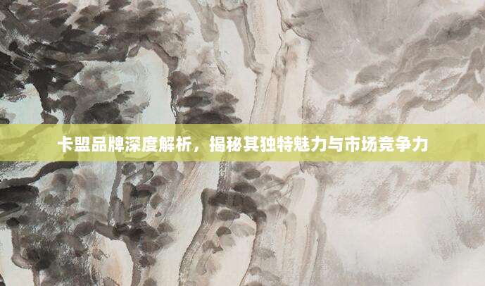 卡盟品牌深度解析,揭秘其独特魅力与市场竞争力